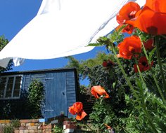 new site for mongers