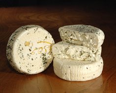 the cheese with no name