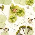Green Decoration Pack