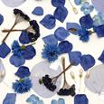 Blue Decoration Pack