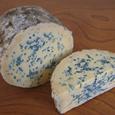 Partridge Blue