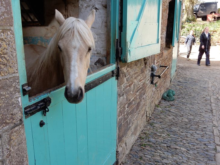 A visit to Nethercott Farm The Cheese Shed
