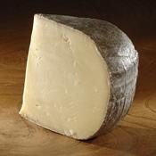 Wyfe of Bath