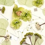 Green Decoration Pack