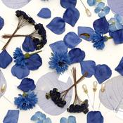 Blue Decoration Pack