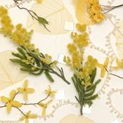 Yellow Decoration Pack