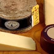 Planet Cheddar