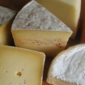 Cheese Shed Selection