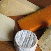 The Somerset Selection