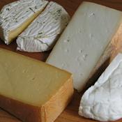 Cheese Gift Vouchers