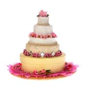 Pink Decoration Pack