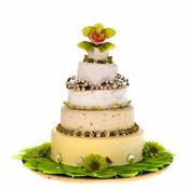 Green Decoration Pack