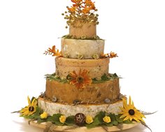 Autumn Cheese Cakes: The Gold Standard