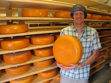 The Cornish Gouda Story