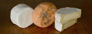 new cheeses for Summer 2016
