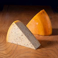 Cornish Gouda with Cumin